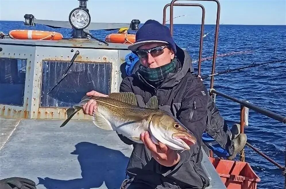 Ура губа мурманск. Выход в море териберка. Погода в ура губе на неделю. Ура-губа мурманская область. Село ура губа мурманская область.