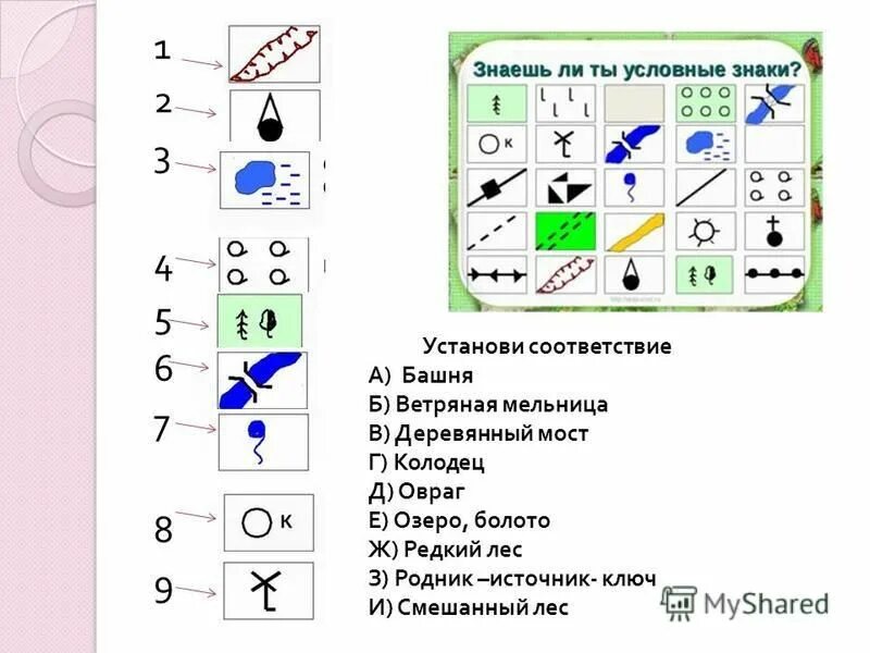 Фруктовый сад на топографической карте. Условные обозначения редкий лес. Площадные топографические знаки. Условные обозначения растительности на топографических картах. Лес условный знак на топографической карте.