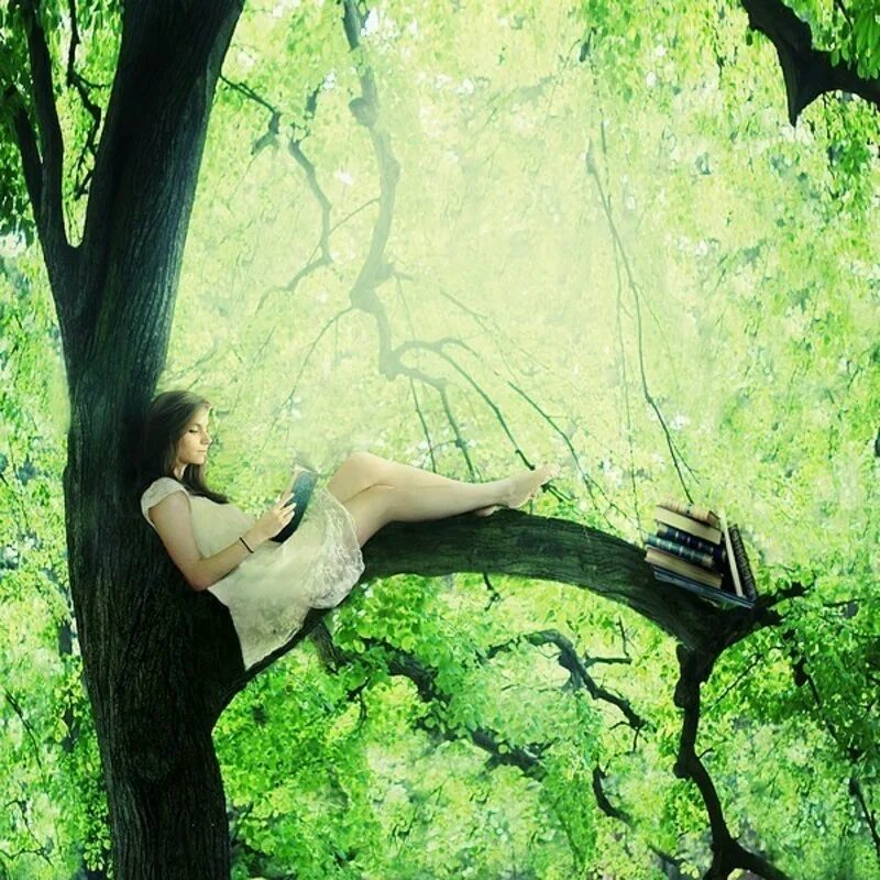 Сидеть на ветке. Человек сидит на дереве. Stefan soell фото. Сидеть на ветке. Человек сидит на дереве.