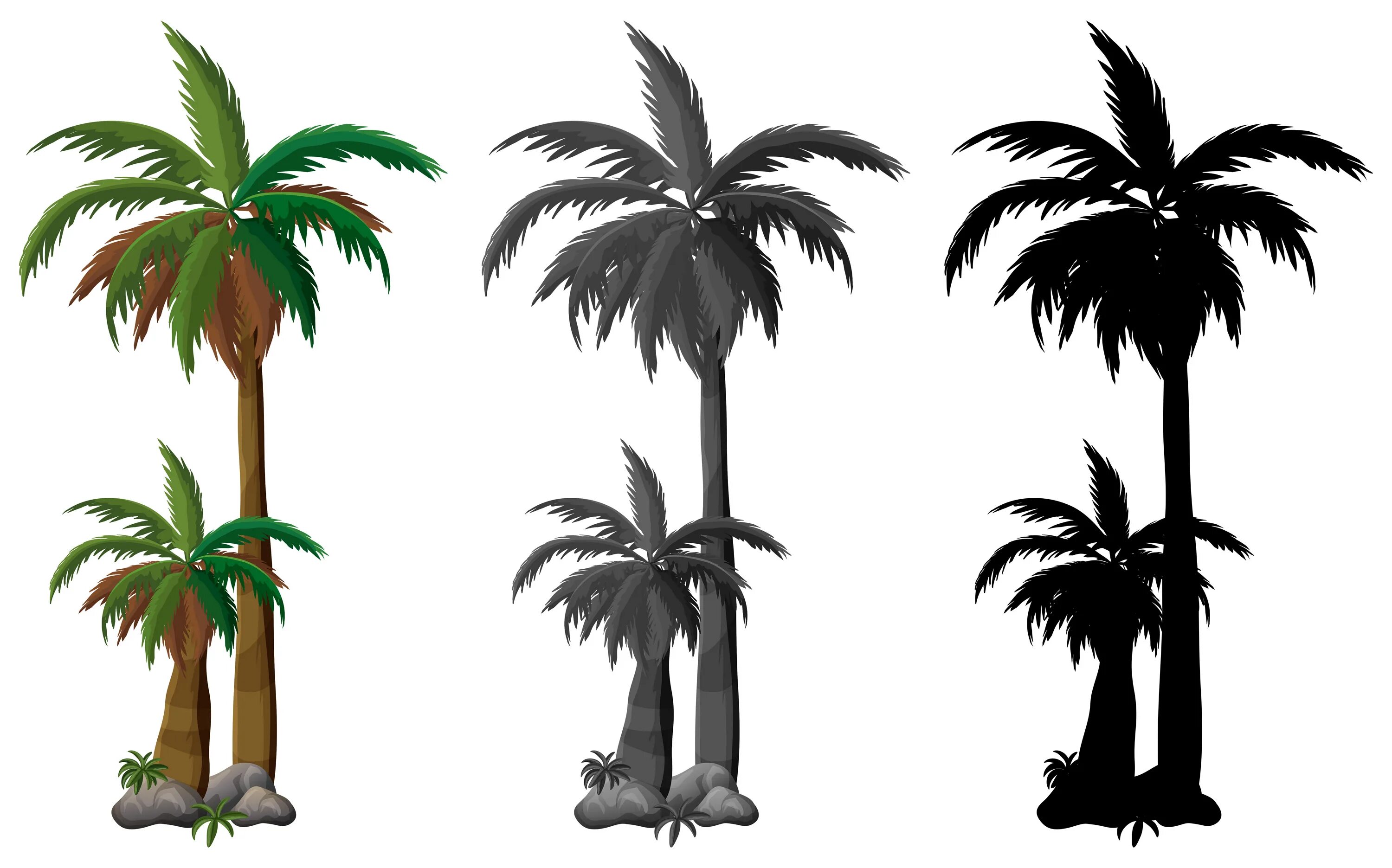 Palms set