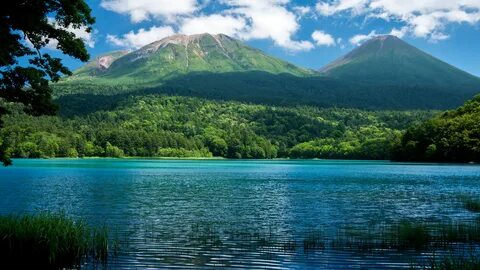 Nature picture