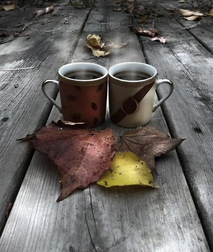 Однажды осенним утром. Утро кофе осень. Осенний кофе. Чашка кофе осень. Чашечка кофе и осень.
