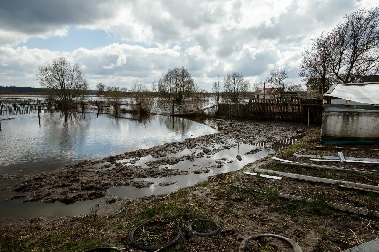 Уровень воды в жиздре козельск сегодня. Вода Козельск. Уровень воды в Жиздре. Разлив в Козельске 2023.