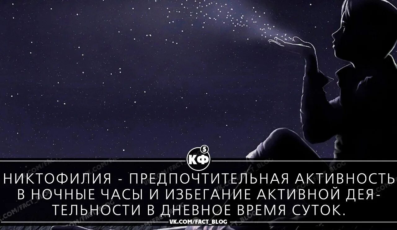 Никтофилия. Никтофилия любовь к темноте. Никтофилия картинки. Никтофилия Эстетика.