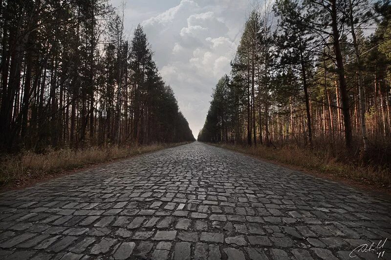 Каменная булыжная дорога Калининград. Мощеная дорога. Старая дорога. Старая каменная дорога.