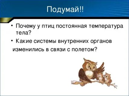 Почему птицы нормально функционируют при температуре 40