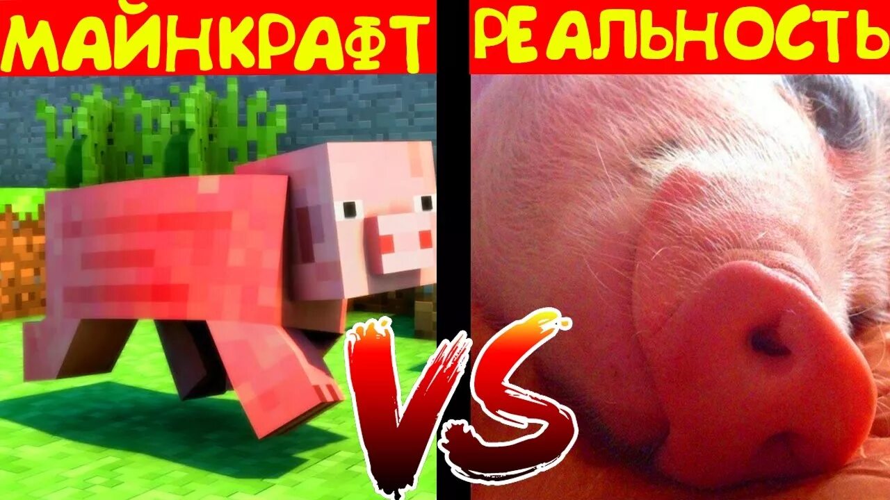 Майнкрафт против реального. Майнкрафт против реальности. майнкрафт вс реальность. майнкрафт против реальной жизни. мемы про майнкрафт против реальной жизни.