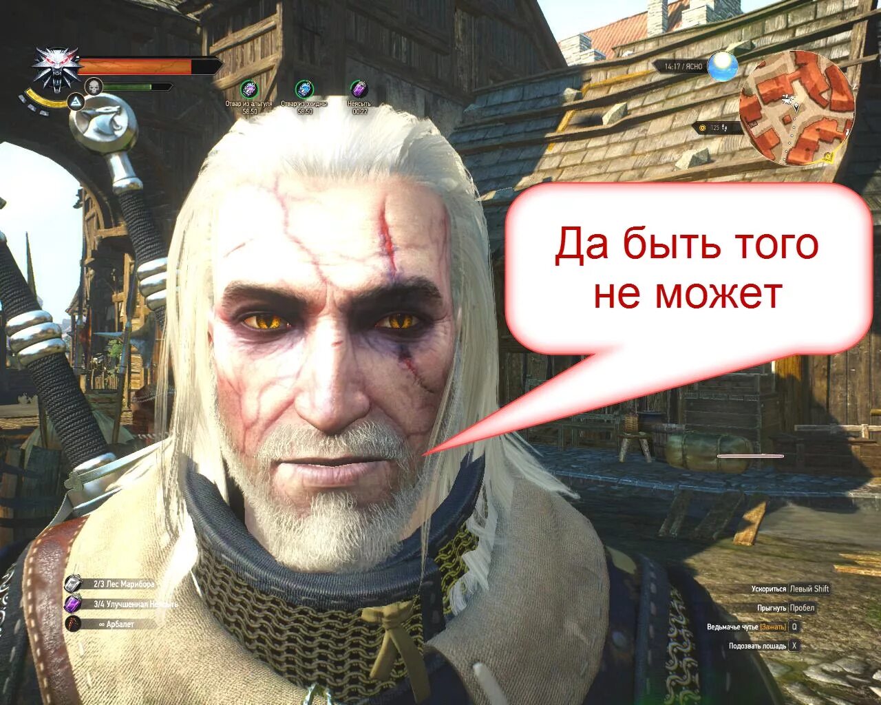 Школа рыси ведьмак. Школа рыся ведьмак. ведьмак школа рыси. школы ведьмаков. ведьмак школа кота.