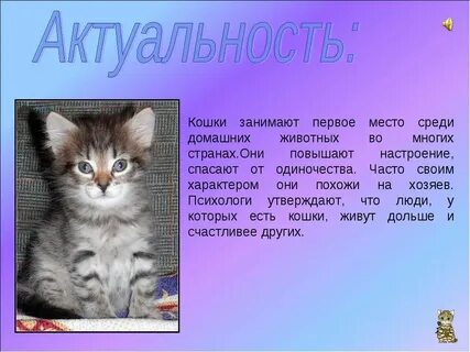 Конспект урока котята 1 класс