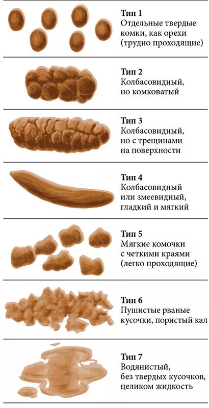 Какаю 4 5 раз в день