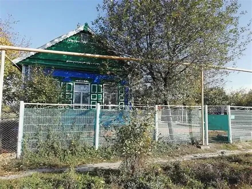 Станица старонижестеблиевская краснодарского края. Станица старонижестеблиевская 55 школа. Старонижестеблиевская краснодарский край достопримечательности. Погода старонижестеблиевская на 10 дней краснодарского края. Старонижестеблиевская краснодарский край.
