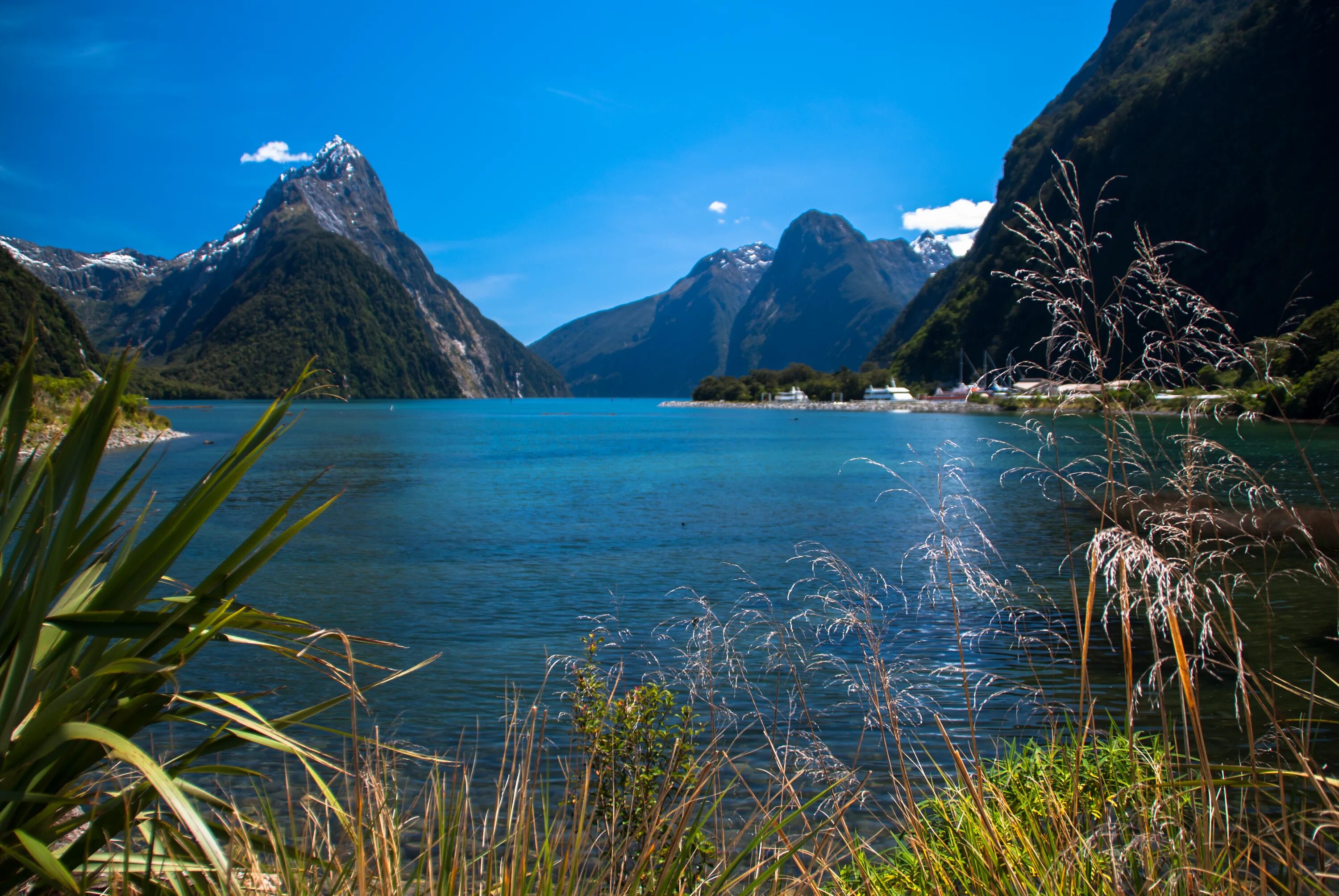 New zealand where. Фьордленд новая Зеландия. Национальный парк Фьордленд. Национальный парк Фьордленд (Fiordland National Park), новая Зеландия. Милфорд новая Зеландия.