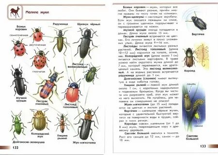 Атлас определитель насекомых 1 класс окружающий мир