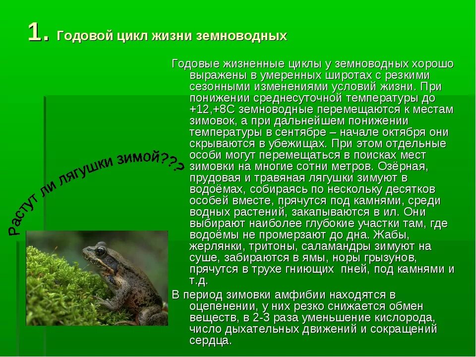Цикл жизни земноводных