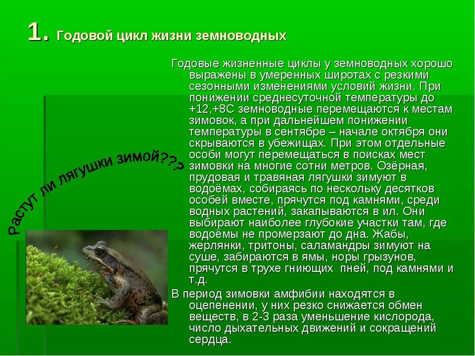 Жизненный цикл земноводных 7 класс. Годовой цикл жизни земноводных. Цикл развития амфибий. Годовой жизненный цикл земноводных. Аргументируйте вывод о происхождении земноводных