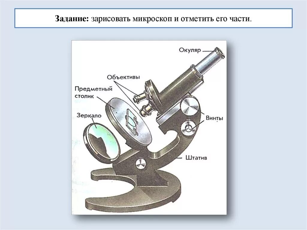 Какая деталь микроскопа обозначена буквой а впр. Световой микроскоп строение. Что такое микроскоп и строение микроскопа 5 класс биология. Строение микроскопа 5 класс биология. Строение окуляра микроскопа.