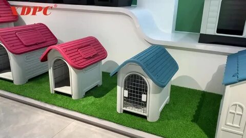 Автомат dog house 1win на деньги taplink