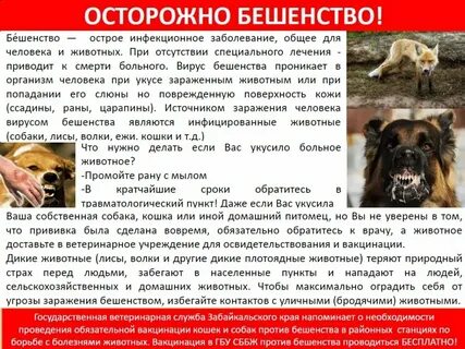Причины бешенства