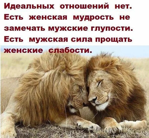 Величие императора прощать