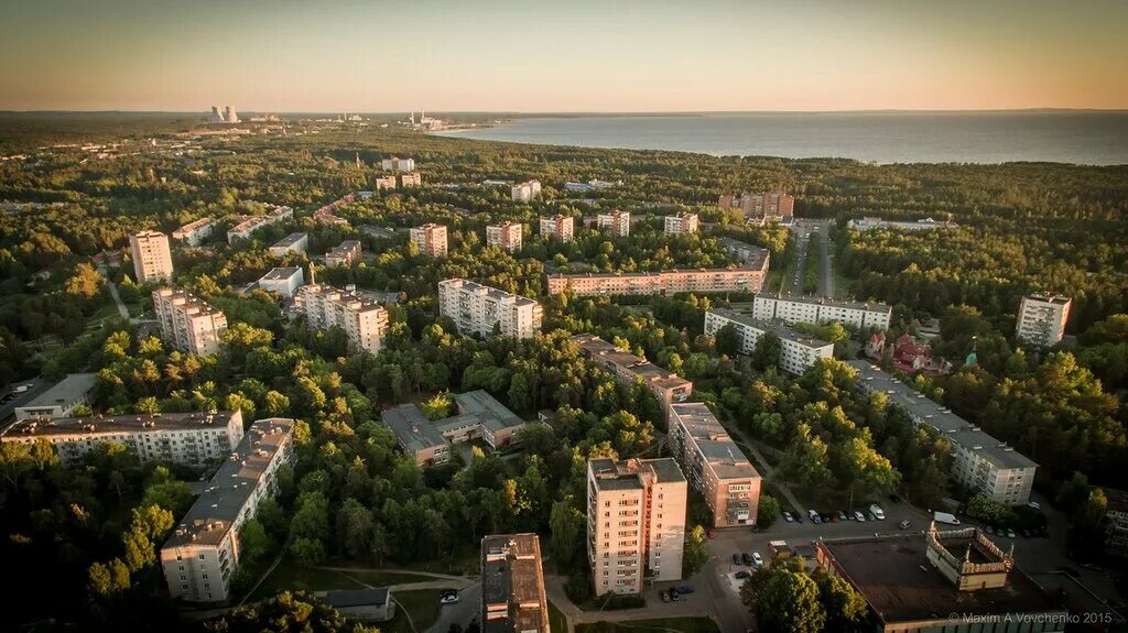 Домклик сосновый бор. Сосновый Бор Ленинградская область. Город Сосновый Бор Ленинградская область. Город Сосновый Бор Ленинградская. Сосновый Бор Питер.