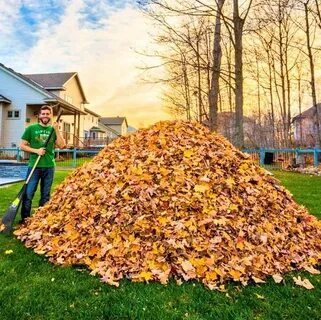 What I thought the Leaf Pile would be like VS What we got #AnimalCrossing #...