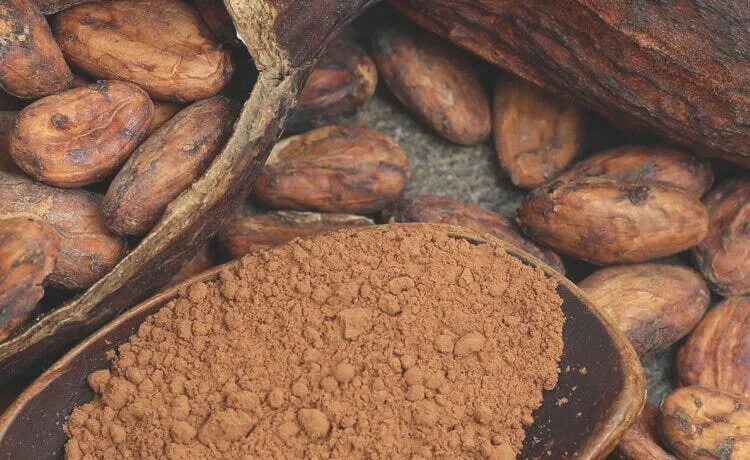 Очистительно сортировочная машина для какао бобов. Обжарка какао бобов. Нигерия плантация какао. Ферментация какао бобов. Производство шоколада.