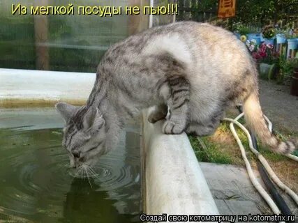 Странно пахнут