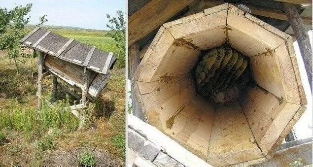 Круглый улей. Улей в колоде 5 букв сканворд. Улей в колоде 5 букв сканворд. Колода борть. Улей в колоде 5 букв сканворд.