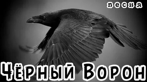 Слушать песню вороны текст