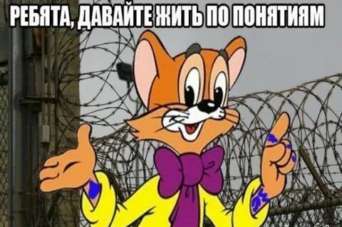 Не сорьтесь или не ссорьтесь