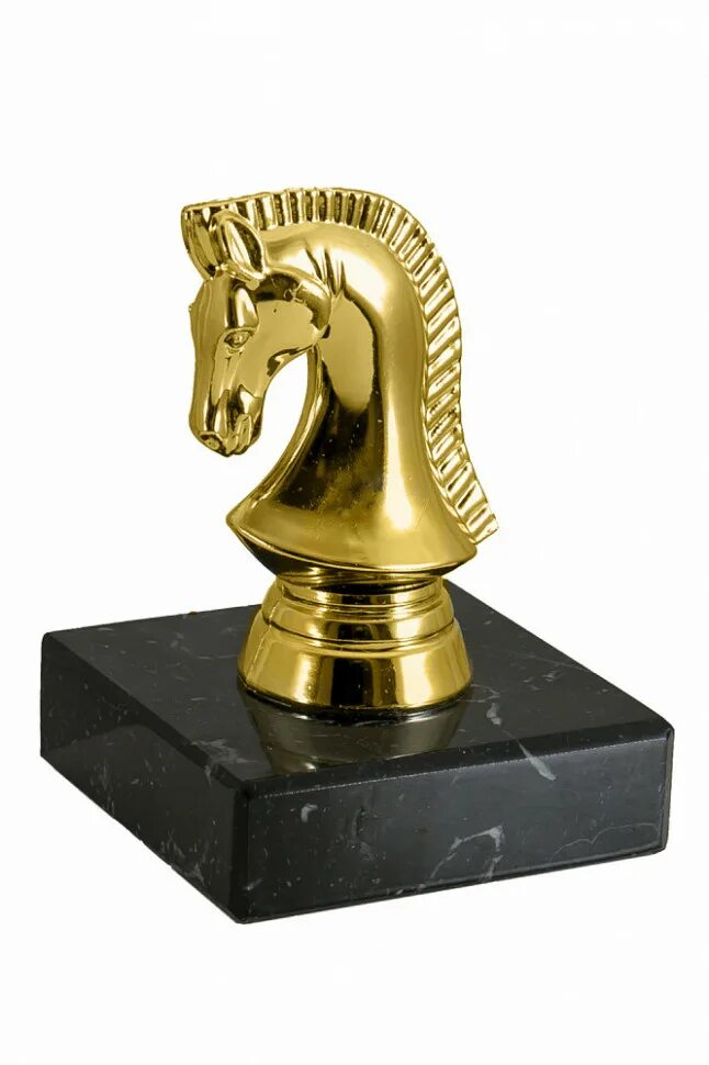 Призеры турнира шахматы. Шахматный турнир в сочи сейчас. Шахматные победители. Шахматы победитель. Шахматные победители.