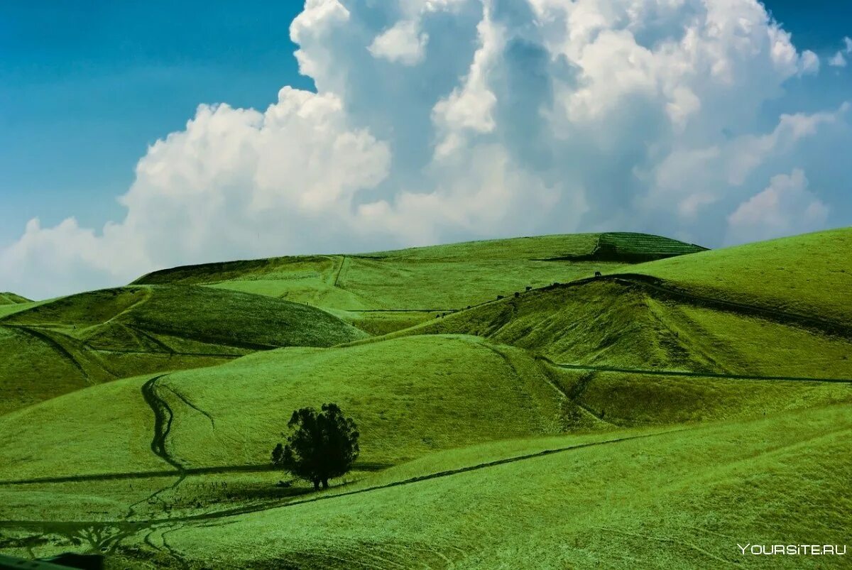 Невысоком холме. Холмистая равнина равнина. Уругвай Холмистая местность. Green Hills зеленые холмы Ирландии. Холмистые возвышенности Ирландии.