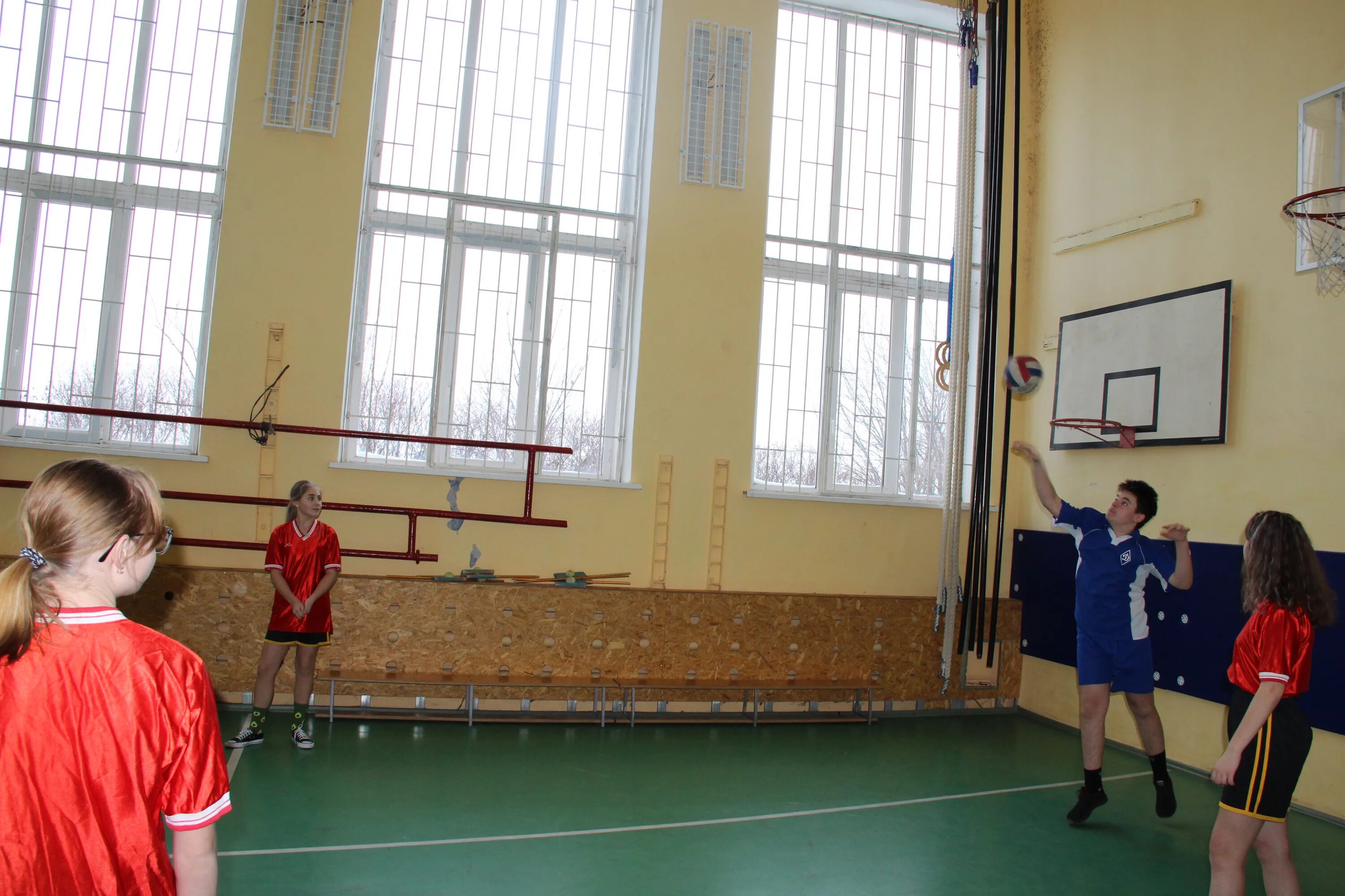 школа дюсш баскетбол. дюсш асино. спортивная школа номер 10. г анапа ул омелькова 30. спортивная школа номер 10 иваново бассейн.