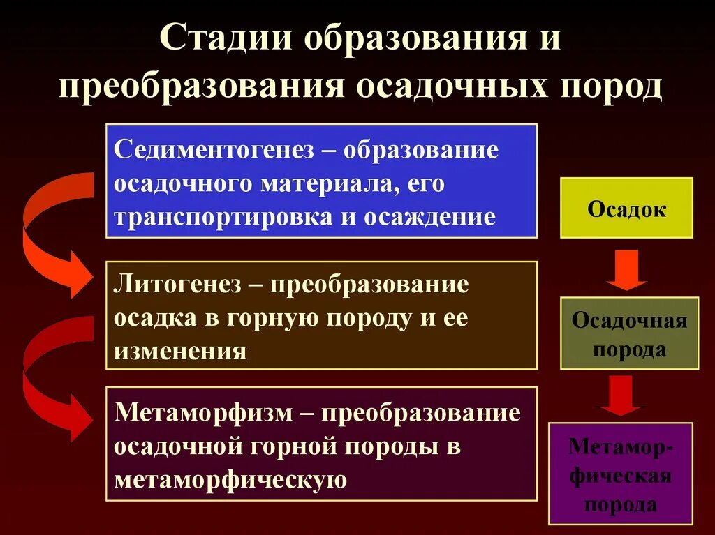 Стадии образования и преобразования осадочных пород. Стадии образования осадка. Этапы формирования осадочных пород. Стадии формирования осадочных пород.