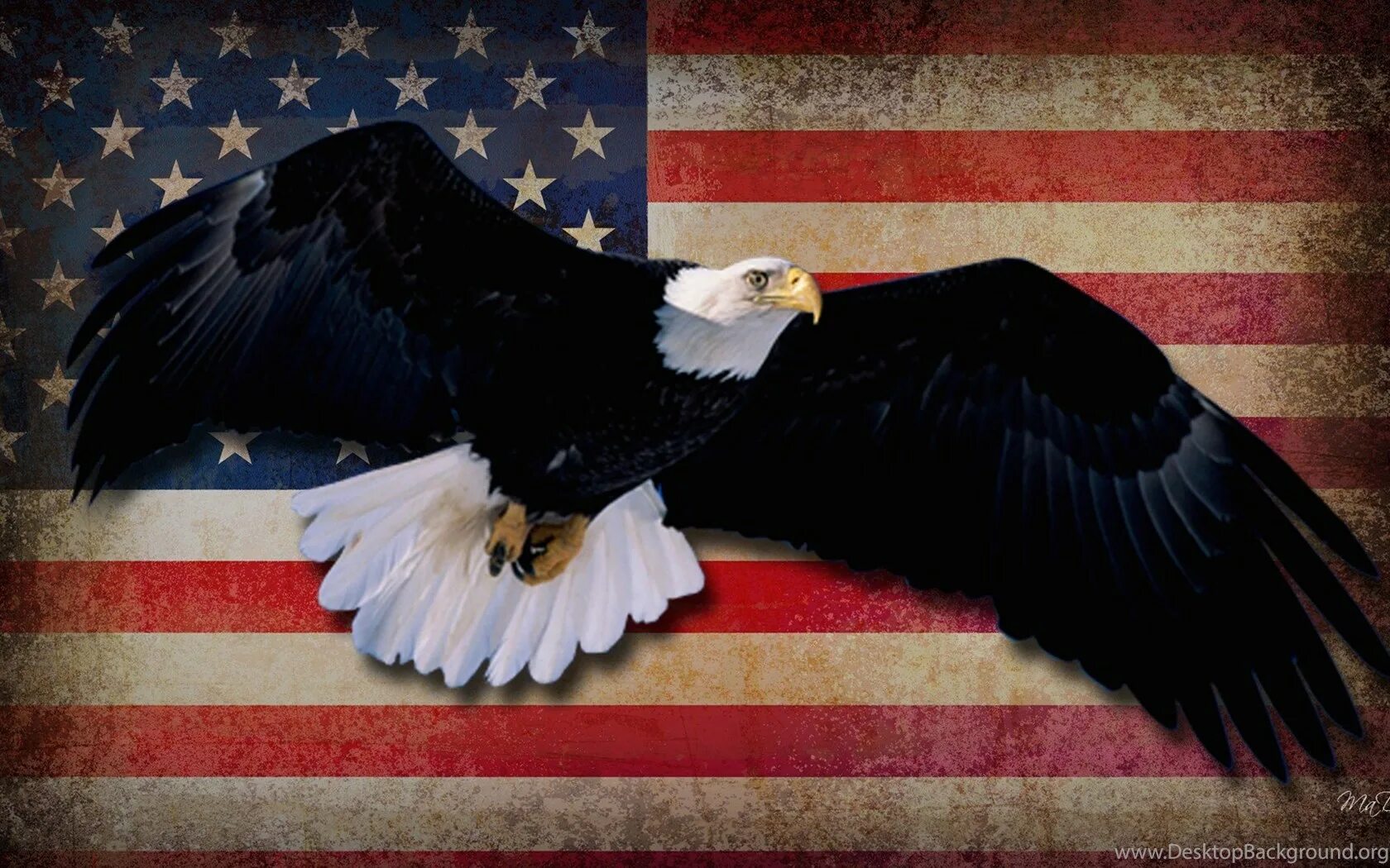 The bird of us. Орел США. Флаг США С орлом. День независимости США Орел. Орел символ Америки.