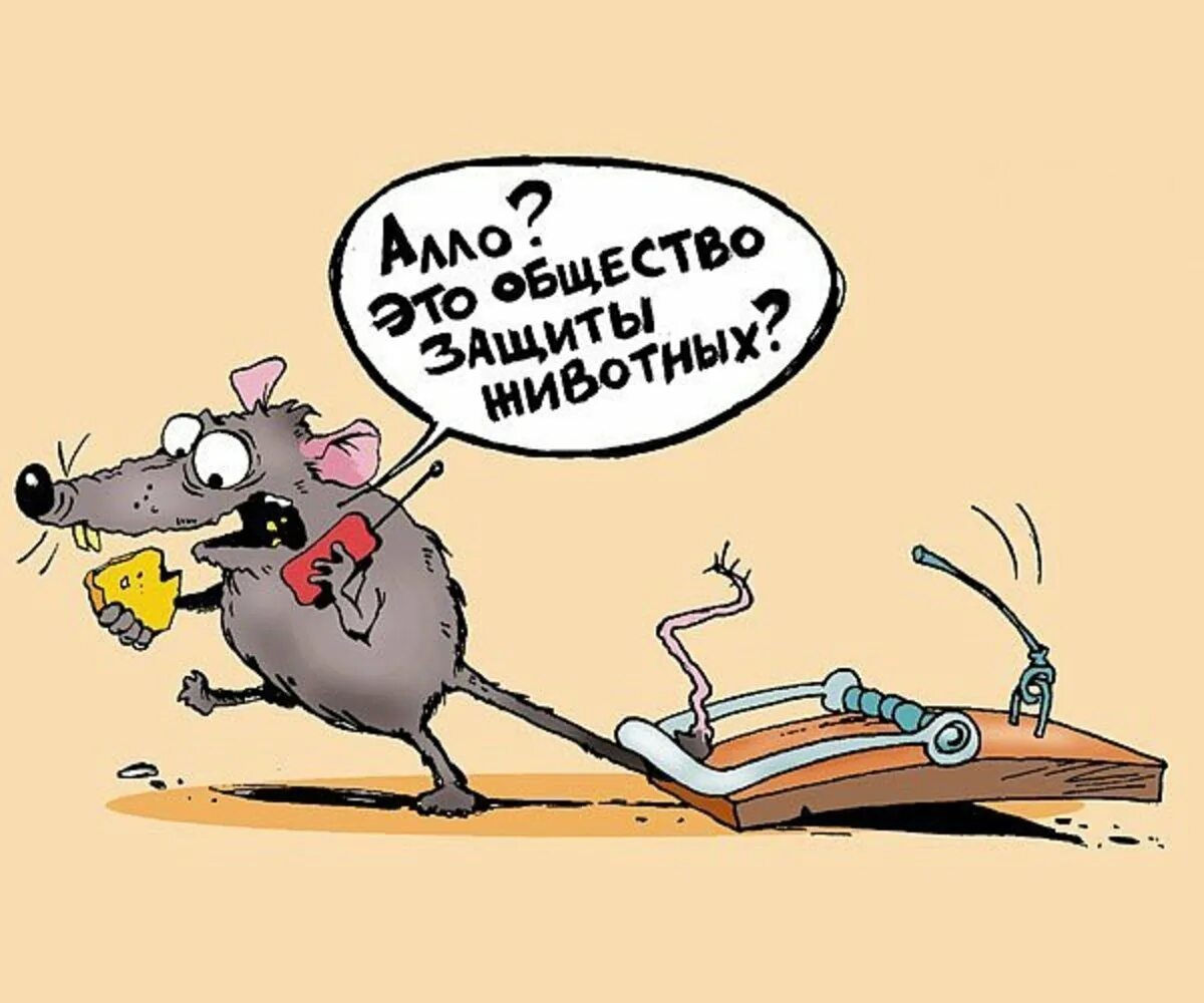Выражение мышь. Крыса карикатура. мышь карикатура. шутки про мышку. мышь прикол.