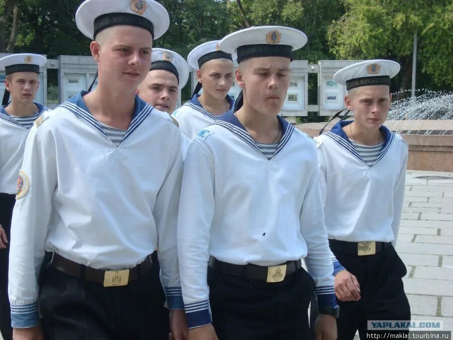 Как выглядит матросов