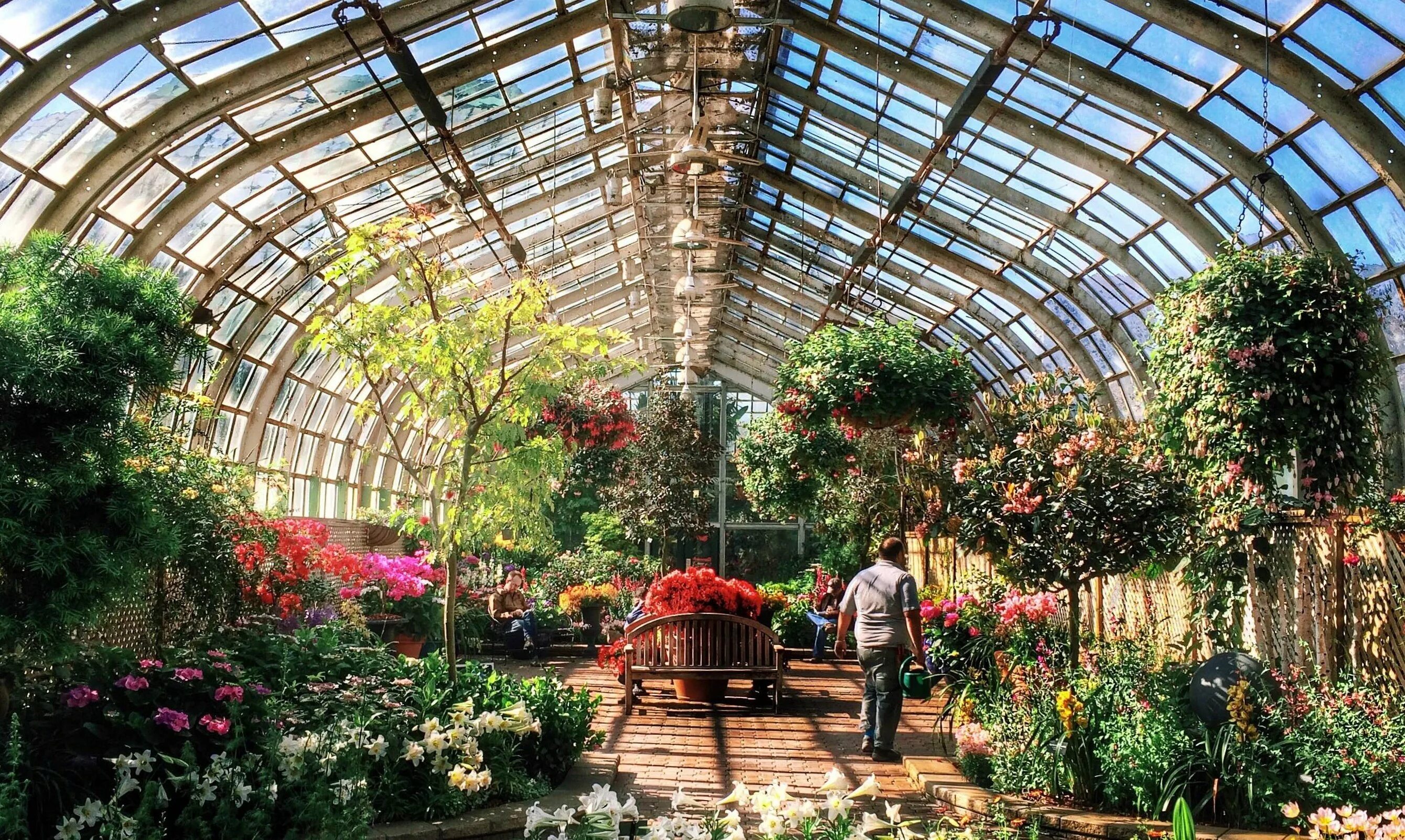 Оранжерея Сан-Франциско. Ботанический сад Краснодар оранжерея. Lincoln Park Conservatory.