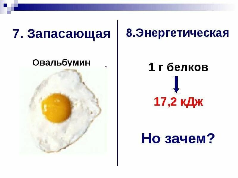 Запасающая функция белков. Белок овальбумин. Овальбумин функция белка. Запасающая функция белков примеры. 1 г белков кдж