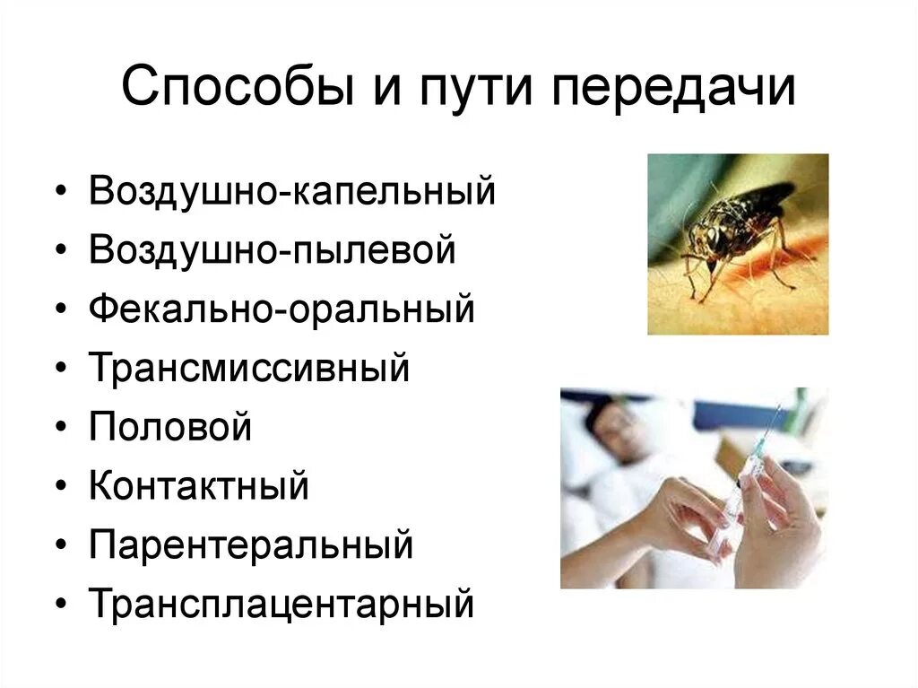 Инфекции бытовым путем. Воздушно-пылевой путь передачи инфекции. учение об инфекции. пылевой способ передачи инфекции. способы передачи инфекции контактно бытовой пылевой.
