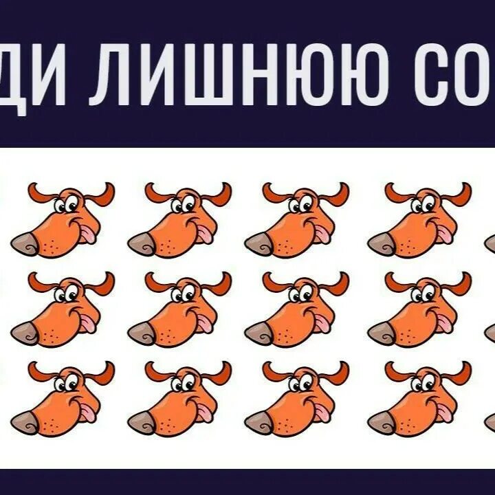 Найти лишнюю собаку ответ