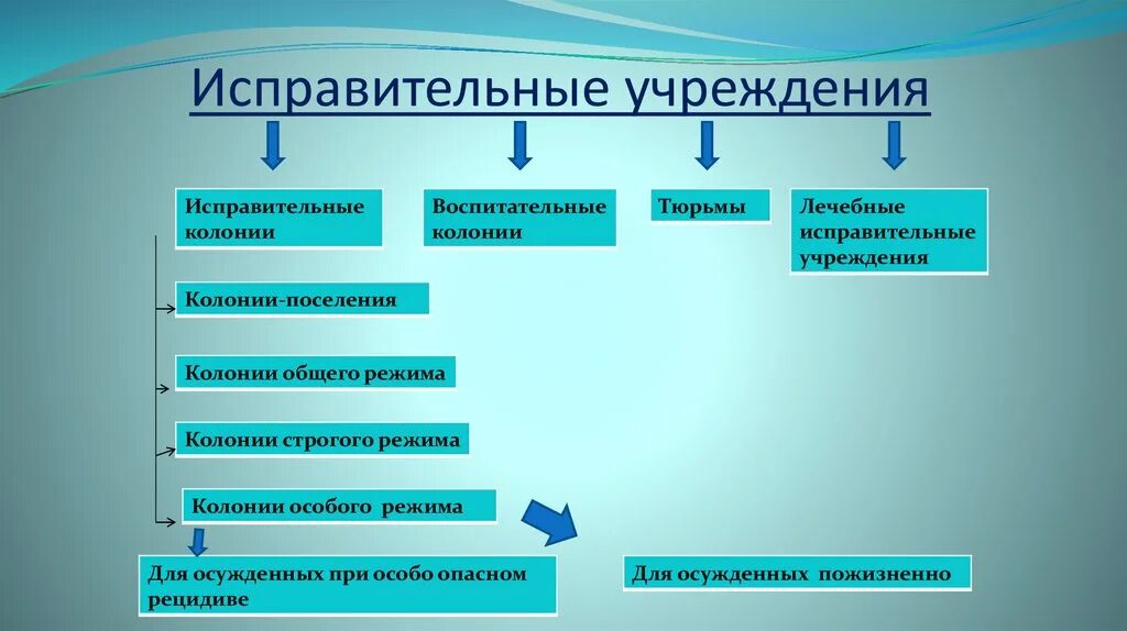 Цели исправительных учреждений. Виды исправительных учреждений. Структура исправительных учреждений РФ. Виды исправительных учреждений в России. Исправительные учреждения видя.