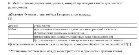 Установите правильную последовательность мейоза