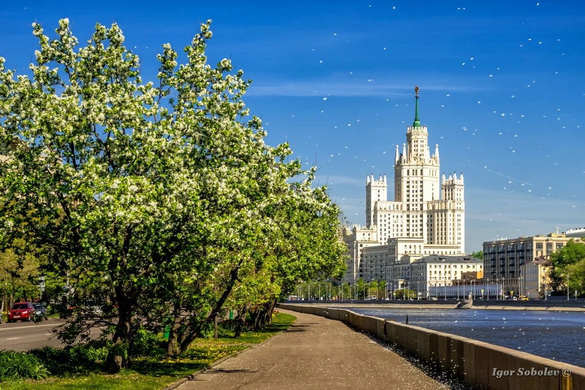 Красивые места в москве весной. Котельническая набережная Космодамианская набережная. Павелецкая Котельническая набережная. Котельническая набережная осень. Парк на Котельнической набережной.