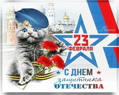 С днем защитника отечества котик