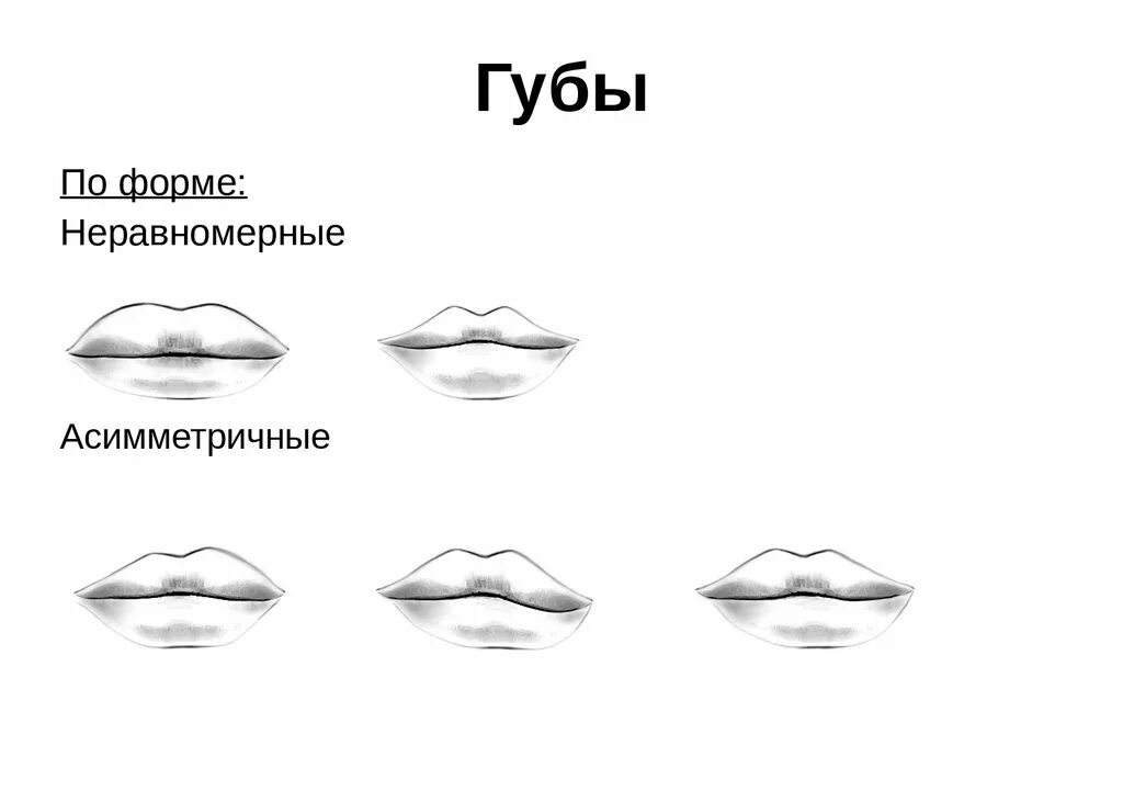 Как отличить губы. Формы губ. Разные формы губ. Правильная форма губ. Разновидности форм губ.