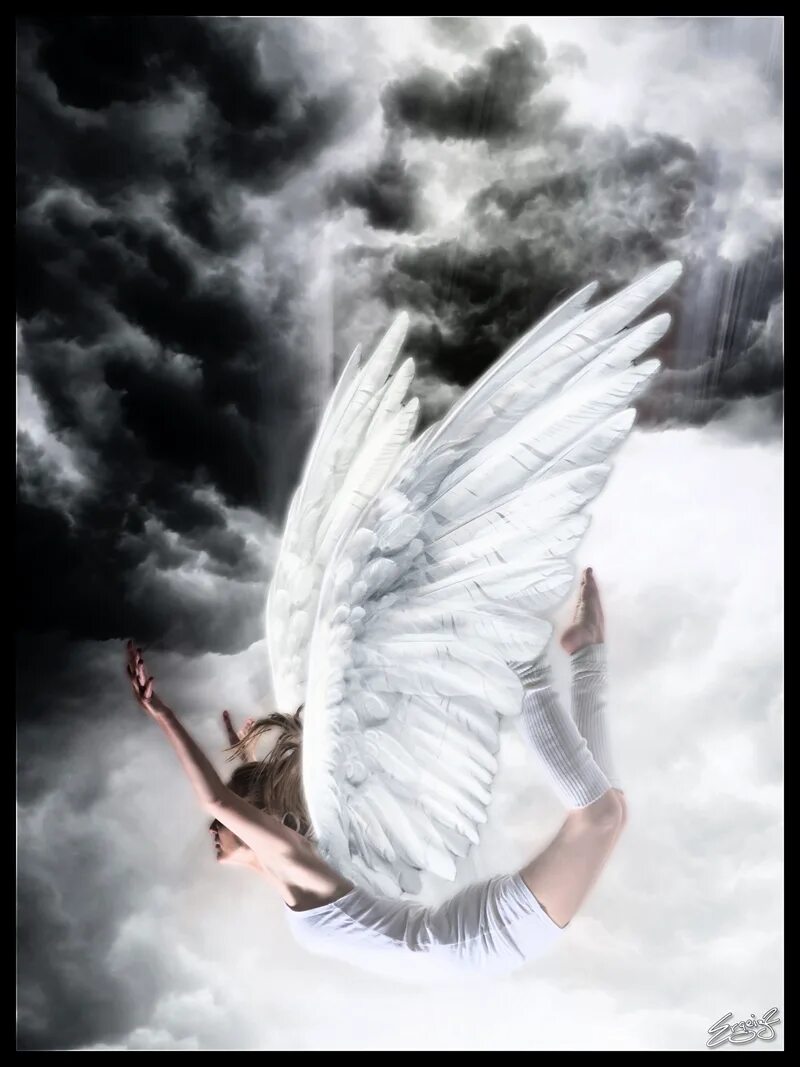 Falling angel s. Падающий ангел. Ангел с крыльями. Человек с крыльями.