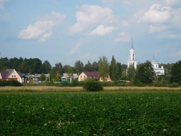 Дмитровский район московская область фото Куликово погода московская область дмитровский 87 фото