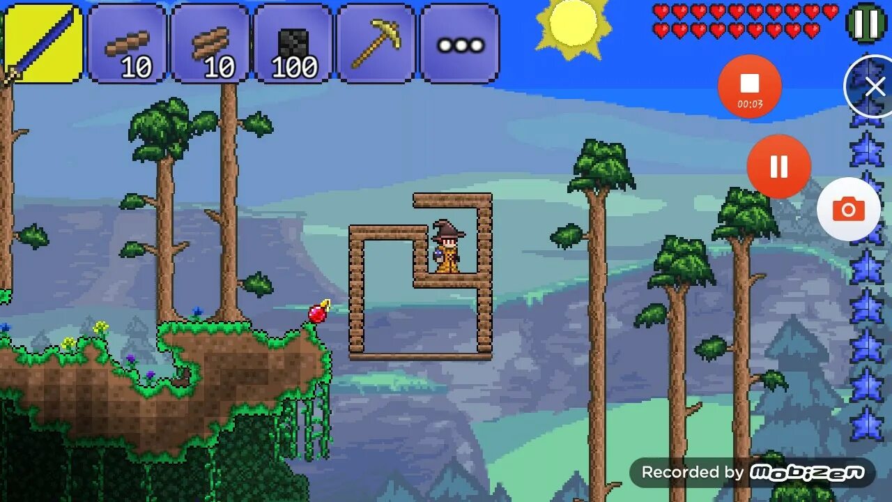 Дом для выживания в террарии. Близнецы арена террария. Аквариум террария большой. Ворота террария. Террария хромакей.