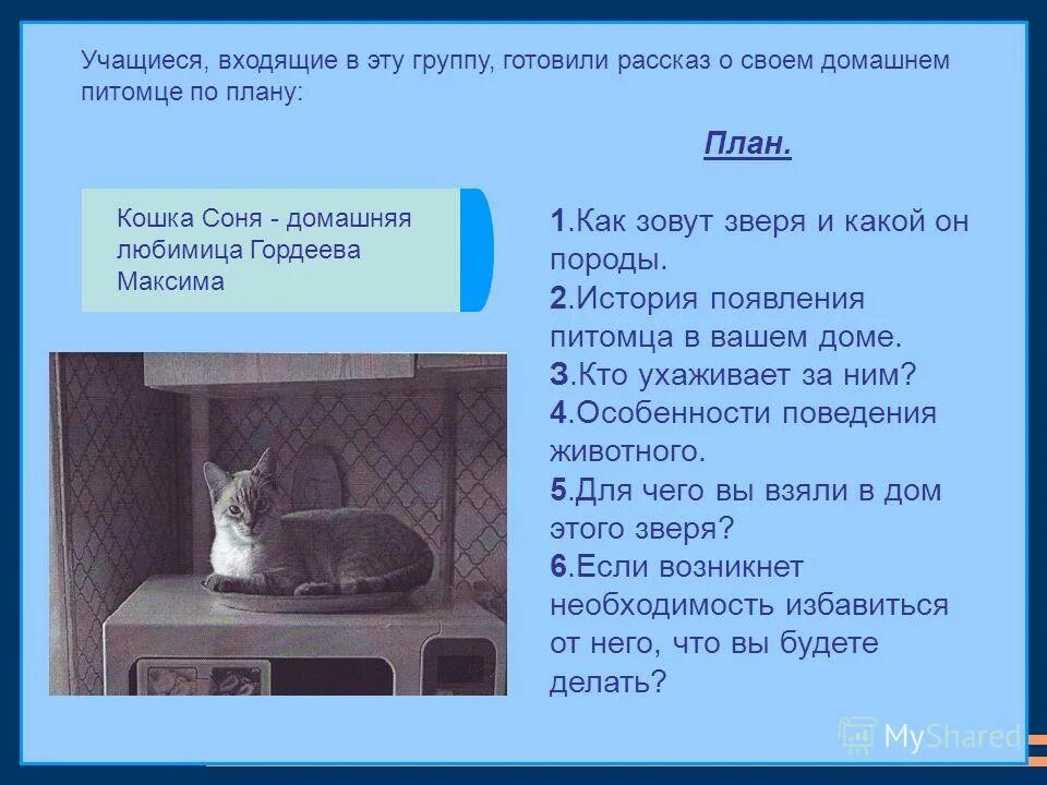 Как составить общий план рассказа о питомце